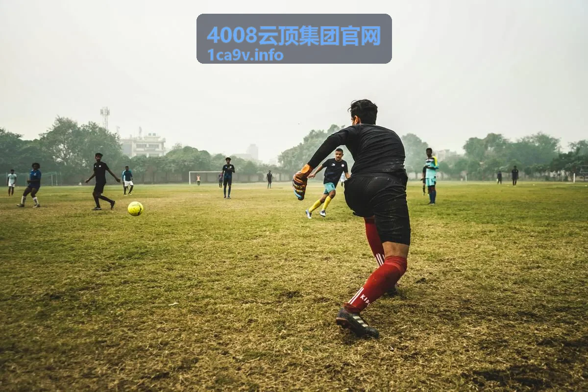 4008云顶集团官网热线服务指南
